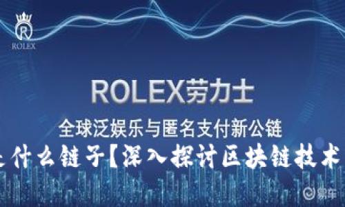 区块链到底是什么链子？深入探讨区块链技术的本质与应用